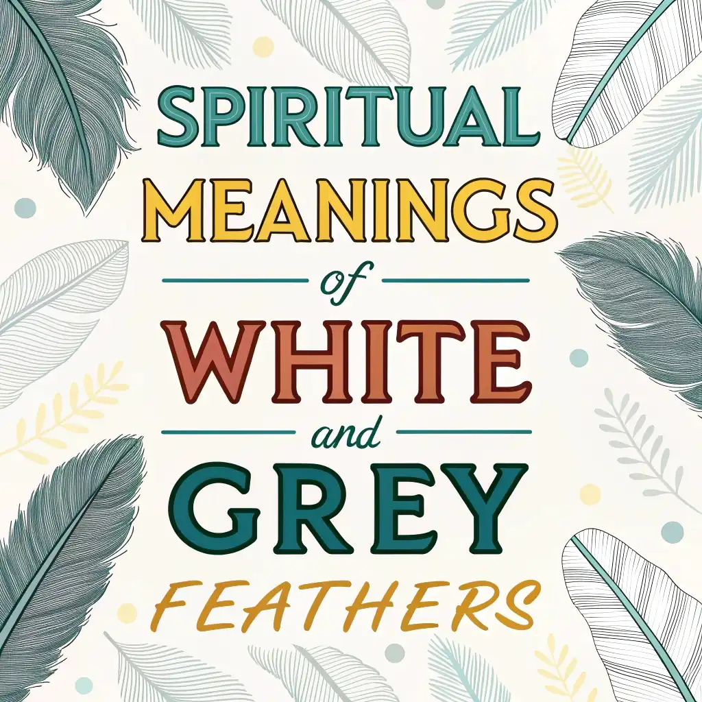 Spiritual Meanings of White and Grey Feathers: 11 Sacred Messages 2 Spiritual Meanings of White and Grey Feathers: 11 Sacred Messages