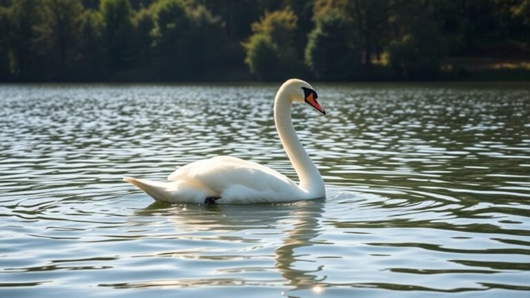 graceful love and transformation