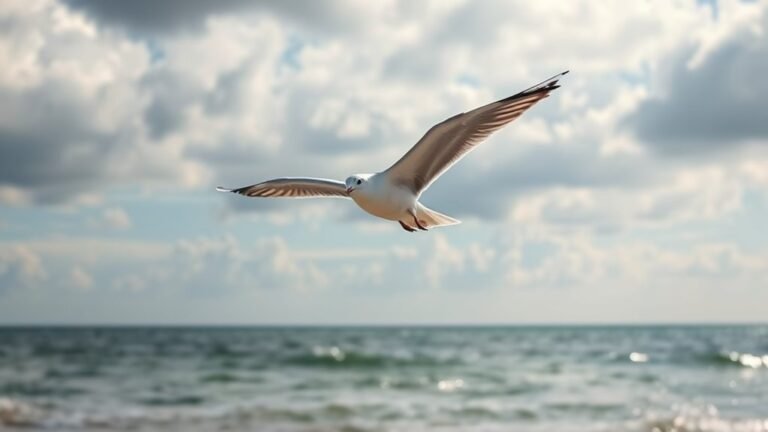 seagull symbolism adaptability and clarity